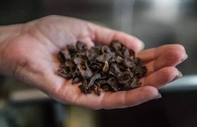 粉大变身成餐饮界新宠儿?CQ9电子app咖啡果(图8) 粉大变身成餐饮界新宠儿?CQ9电子app咖啡果(图8)